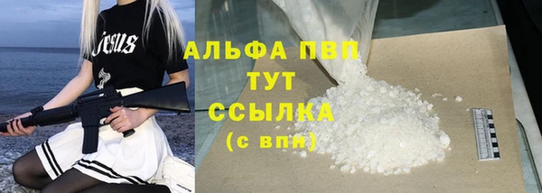 крисы Аркадак