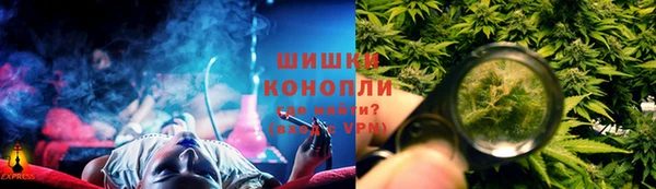 крисы Аркадак